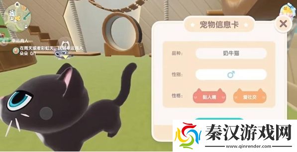 心动小镇怎么养猫